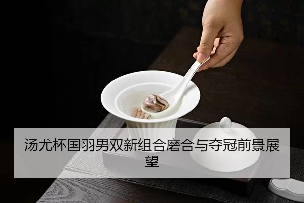 汤尤杯国羽男双新组合磨合与夺冠前景展望